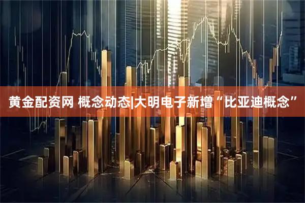 黄金配资网 概念动态|大明电子新增“比亚迪概念”